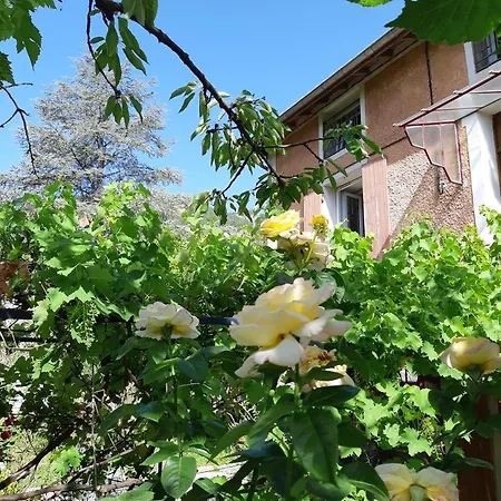 Beautiful In Provencal With Garden And Wifi Digne-les-Bains