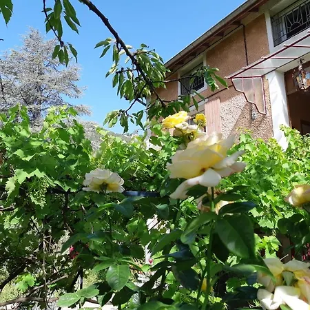Apartment Beautiful In Provencal With Garden And Wifi *